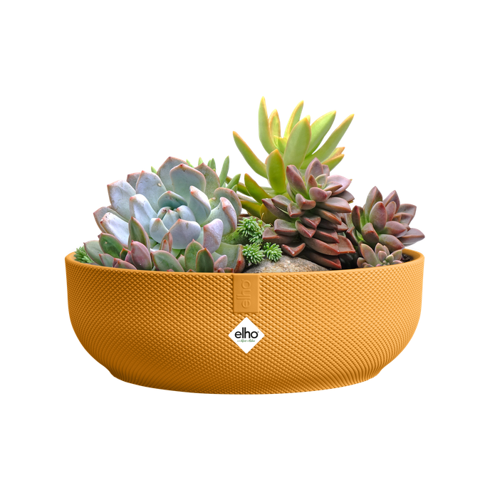 jazz bowl 28cm jaune ambré